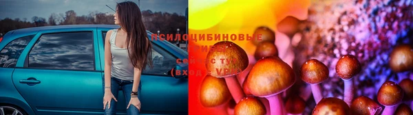 apvp Навашино