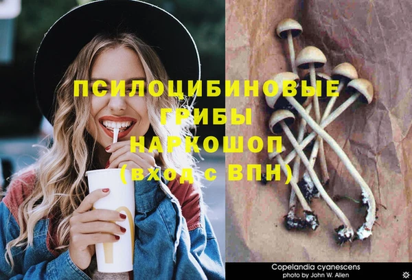 apvp Навашино