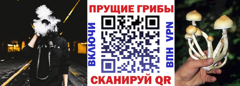продажа наркотиков  это Telegram  Псилоцибиновые грибы мухоморы  Гагарин 