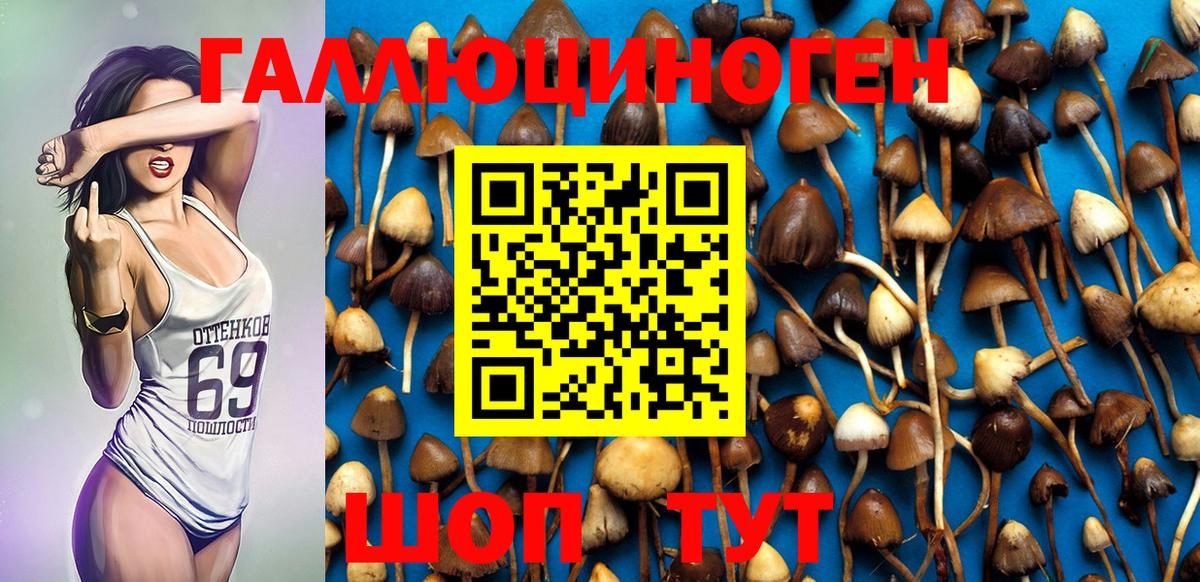 Галлюциногенные грибы GOLDEN TEACHER  Гагарин 